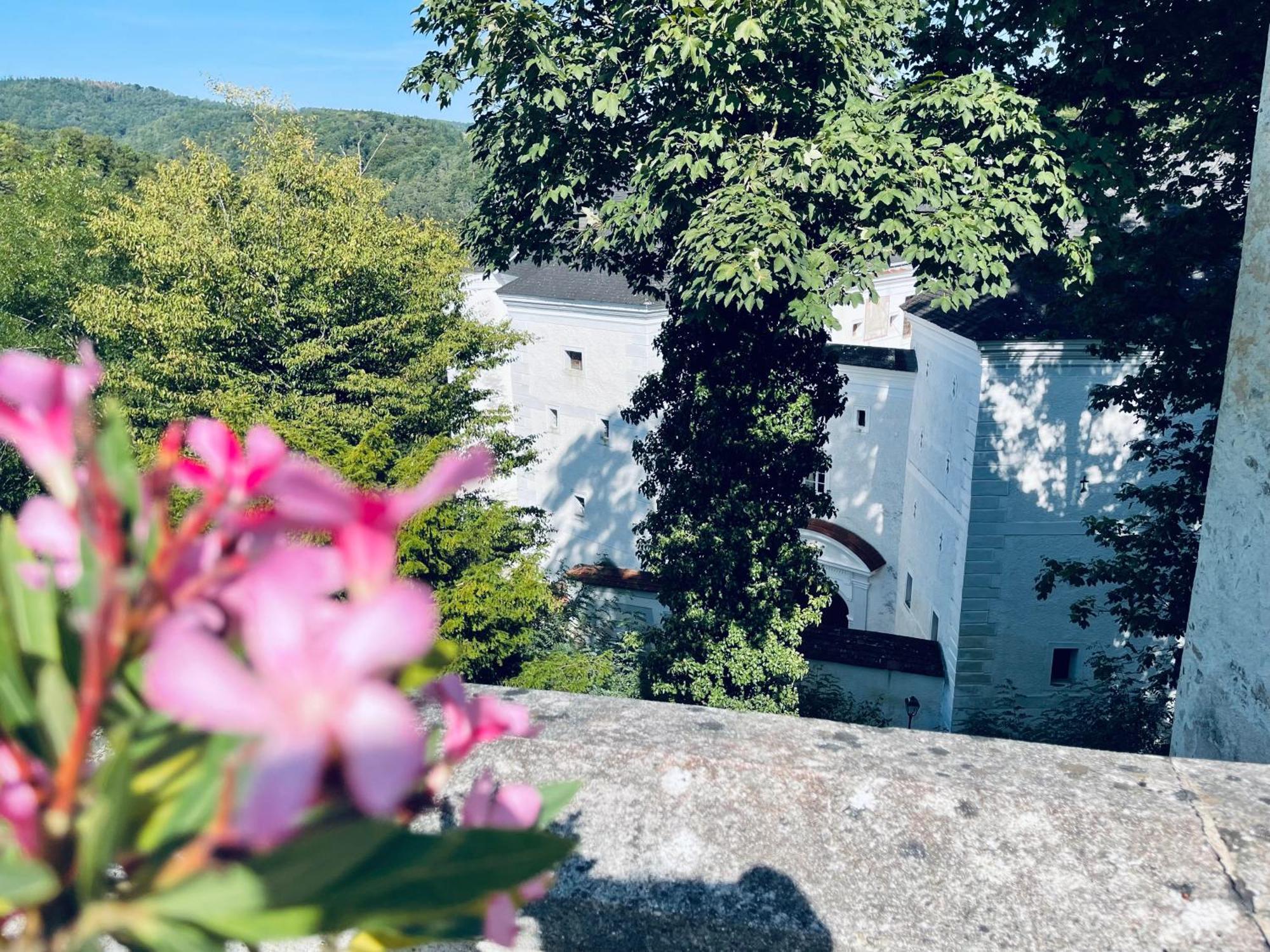 Der Turm Leiben Apartments Esterno foto